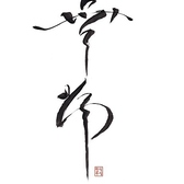 無常 musangの写真