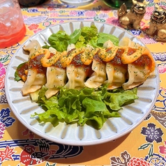 サルサソースたっぷりタコスチーズ餃子