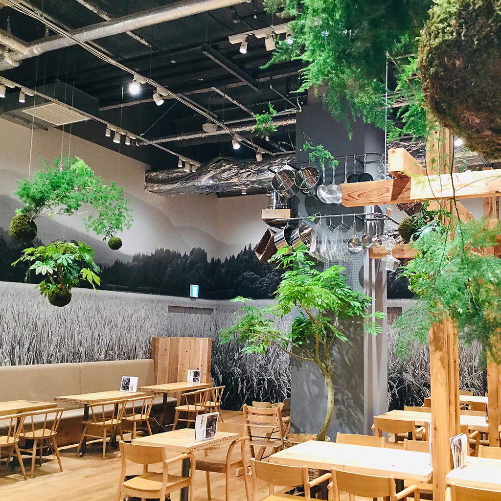 たくさんの苔玉は、スタッフが毎日お世話しています。