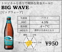 BIG WAVE [ビッグウェーブ]