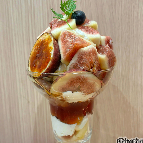 FRUITS FOREST t[ctHXg