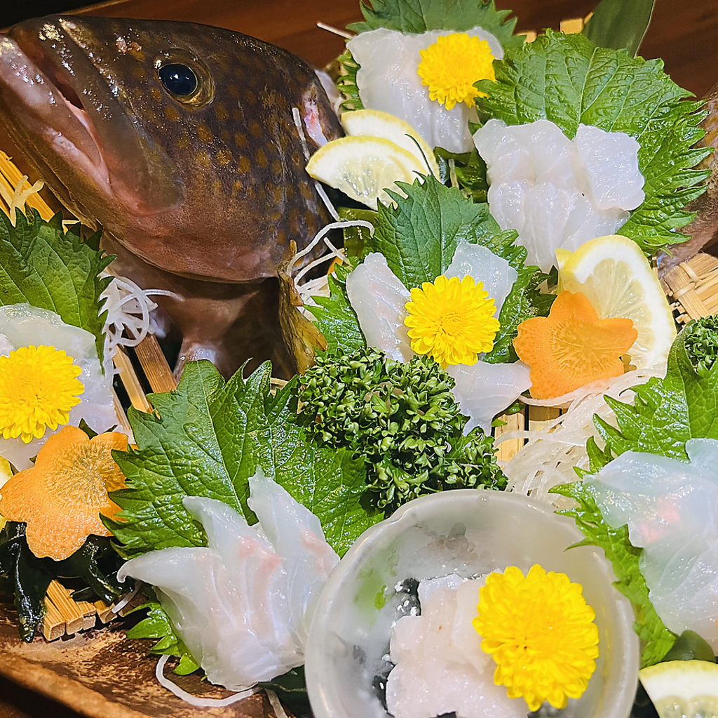 ★鮮度抜群★ボリューム満点本日のオススメ魚姿造り！2時間飲み放題付き3300円→2200円