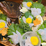 ★鮮度抜群★ボリューム満点本日のオススメ魚姿造り！2時間飲み放題付き3300円→2200円