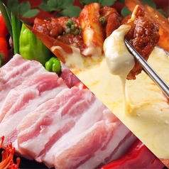 ハンサランの特集写真