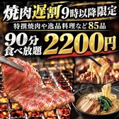 【夜9時以降がお得】毎日夜9時以降限定!個室焼肉食放!【牛カルビや特選焼肉など85品食べ放題プラン】2200円