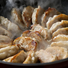 ぎょうざのみっちー 天文館本店の特集写真