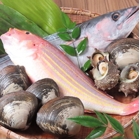 確かな目利きで仕入れた魚を最高の調理法で味わう逸品