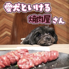 【話題沸騰☆厚切りIWAカルビと花咲タン☆】焼肉 IWA(いわ) 新大久保・新宿店の写真3