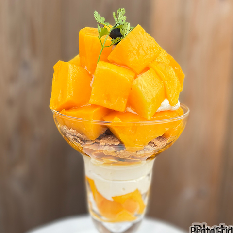 FRUITS FOREST t[ctHXg