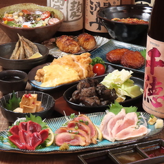 ヒナタノ蔵  宮崎料理とじとっこの特集写真