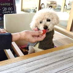 れんまるカフェの雰囲気2
