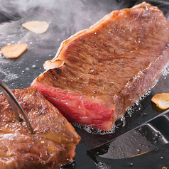 和食バル 音音 虎ノ門ヒルズ店の特集写真