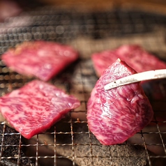炭炭 たんたん みよし市特集写真1