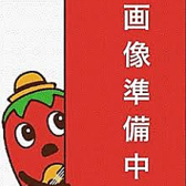 OTG オーティージー