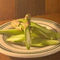 料理メニュー写真 【菜】アスパラガス