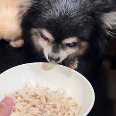 自家製味噌だれ焼肉 味ざんのおすすめポイント1