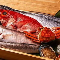 市場で厳選！旬の味覚を堪能！