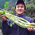 【食材へのこだわり１】静岡県有東木で400年にわたる日本最古のわさび農家より直送して頂いてます。
