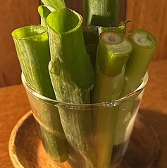 【菜】九条ねぎ