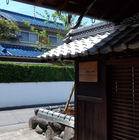 KITCHEN&CAFE Baby leaf