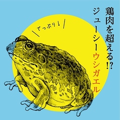 ウシガエル/スッポン