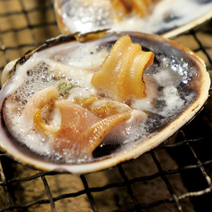 大あさり（半身）