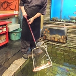 自慢の生け簀。料理長が生け簀からとり新鮮な魚をご提供！県内最高鮮度の刺し盛をぜひご堪能ください