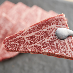 焼肉 泰山 国分町総本店のコース写真