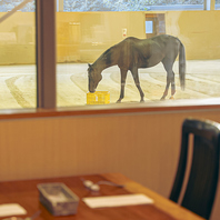 馬を眺めながら贅沢イタリアン