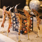 【コースも充実◎】天神アラカルトコース等、炉端料理を堪能できるコースご準備しております♪