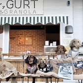 Your GURT&GRANOLA CAFE ユアグルト アンド グラノーラ カフェ 岐阜本店の雰囲気2