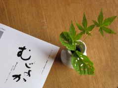 むじょかの詳細