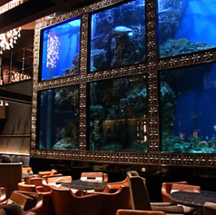 AQUA RESTAURANT&BAR LUXIS ラグシスのコース写真