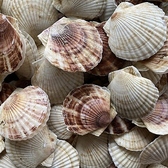 SOUP STAR 未来のマーラータン 錦本店の雰囲気2