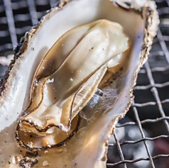 せとうち兵庫水産研究所牡蠣小屋「HOPLAND・姫路山陽百貨店」の特集写真