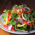 料理メニュー写真 彩り野菜サラダ