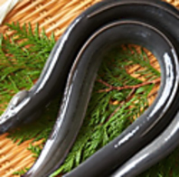 三重と愛知♪厳選仕入れの国産鰻を使った鰻重にこだわる