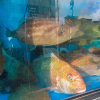 鮮度抜群の海鮮メニュー