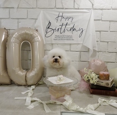 ワンちゃんのお誕生日パーティー！貸し切りなら気兼ねなくお楽しみ頂けます！ワンちゃん用のかわいいケーキも注文できます。