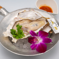 料理メニュー写真 本日の生牡蠣～自家製ライムソース付き～