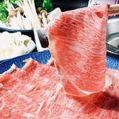 しゃぶ屋総本店の詳細