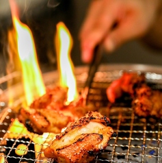 焼肉 鶏料理 鶏助の特集写真