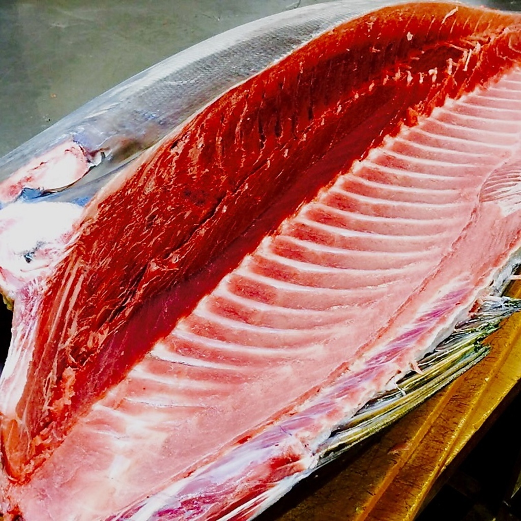 マグロ解体ショープラン★SNSで自慢しちゃって下さい！！