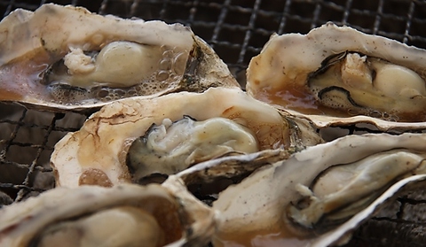 季節限定で旨味が凝縮された抜群に美味しい牡蠣のご用意もございます！