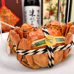 陽澄湖産ブランドタグ付き・活け上海蟹姿蒸し
