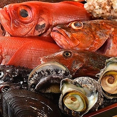 魚河岸料理 夢やのコース写真