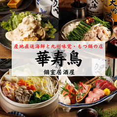 華寿鳥の写真