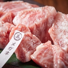 【売切御免！希少部位】メガネ