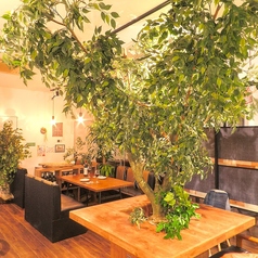 エバーグリーン 隠れ家イタリアンカフェ＆バルの写真