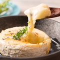 料理メニュー写真 真っ白なチーズステーキ